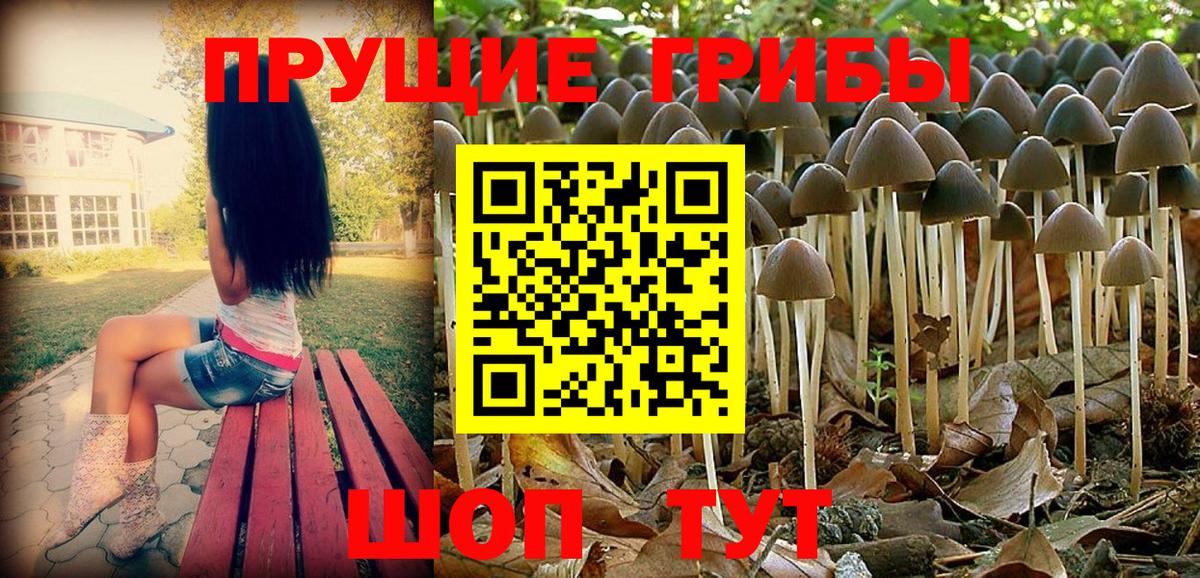 Псилоцибиновые грибы Cubensis  Галлюциногенные грибы GOLDEN TEACHER  Вход с VPN  Канаш 
